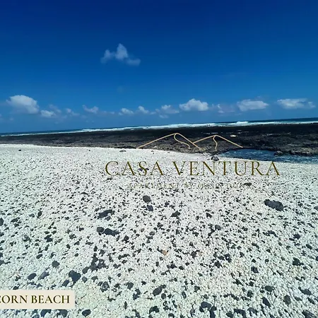 Апартаменты B-rent Casa Ventura